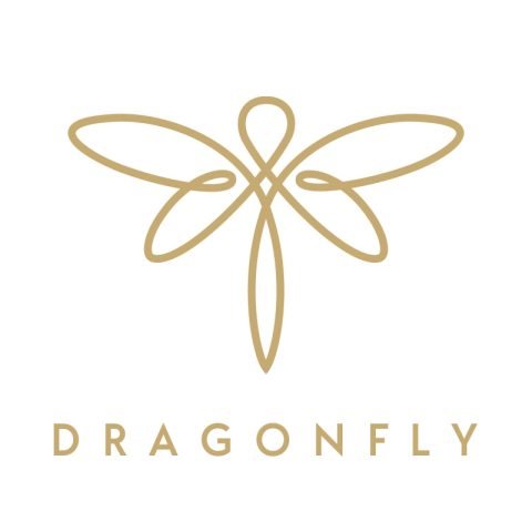 Startup Logo Dragonfly