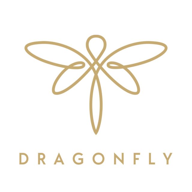 Startup Logo Dragonfly